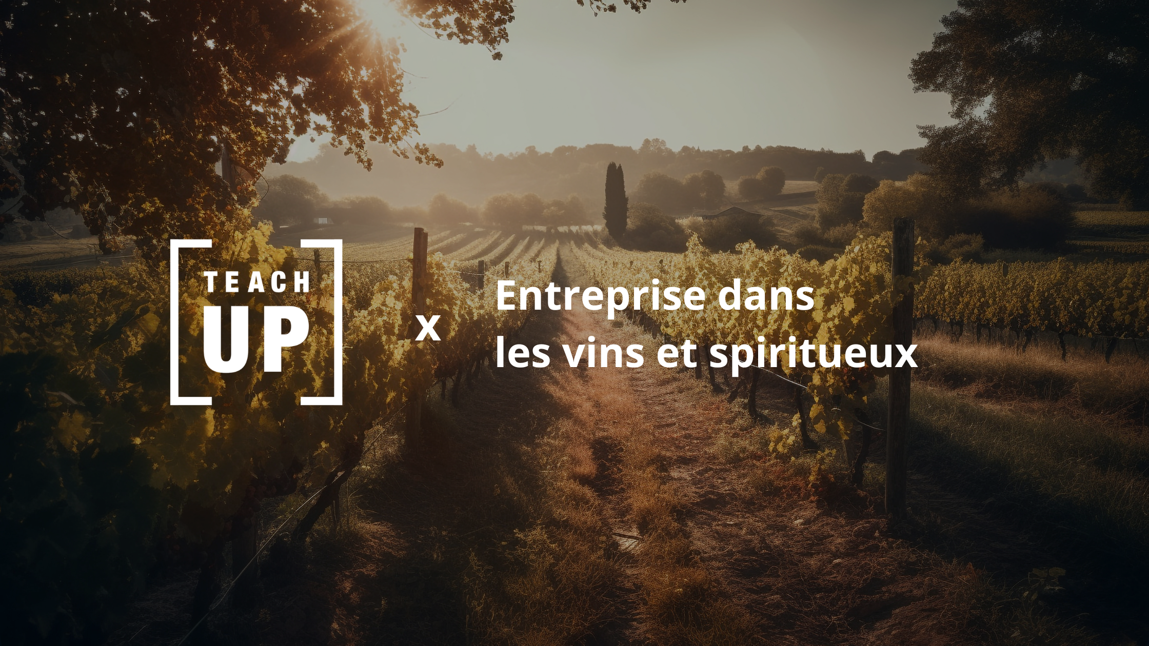 Apprendre en 15 minutes par jour : la recette d’un acteur dans les vins et spiritueux pour booster ses ventes et ses talents